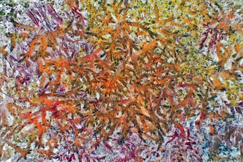 N 029A